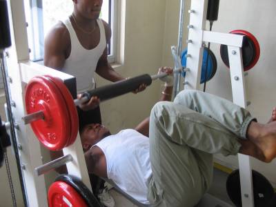MUSCULATION